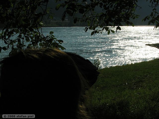 B2008-08-30 175938.JPG