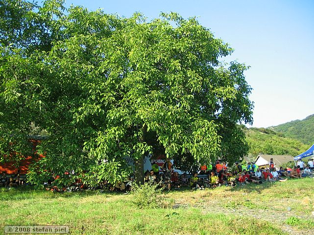 B2008-08-30 181333.JPG