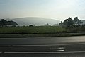 2009-08-26 090058.JPG