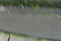 2009-08-29 183418.JPG