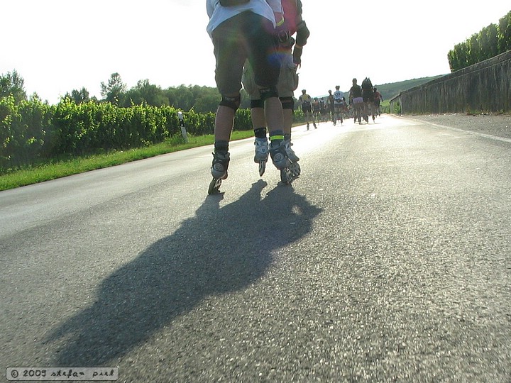 2009-08-22 182446.JPG