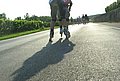 2009-08-22 182446.JPG